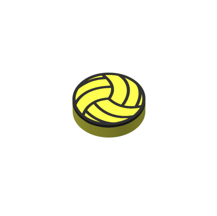 ballon volley magnétique